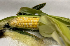 Corn on the Cob