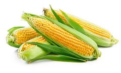 Corn on the Cob
