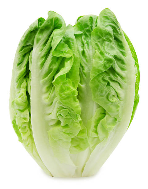 Lettuce, Romaine Hearts