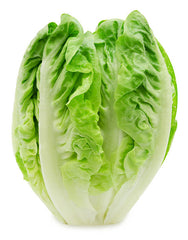 Lettuce, Romaine Hearts
