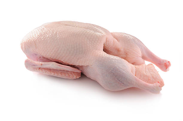 Poultry - Not chicken or turkey