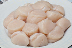 Dry Scallops