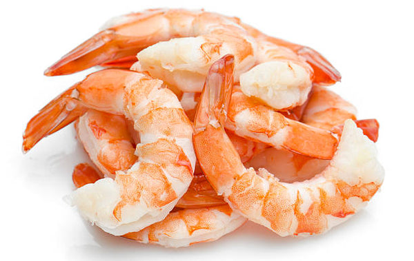 Shrimp