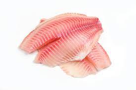 Tilapia