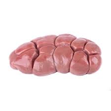 Beef Kidney