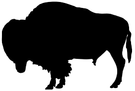 Ground Bison